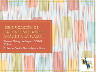 Ximena Ortega Márquez CCH-N
238-A
Profesor: Carlos Goroztieta y Mora

 