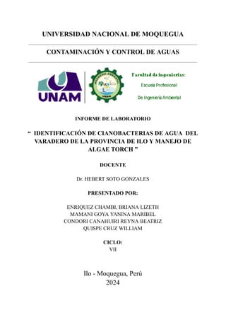 UNIVERSIDAD NACIONAL DE MOQUEGUA
CONTAMINACIÓN Y CONTROL DE AGUAS
INFORME DE LABORATORIO
“ IDENTIFICACIÓN DE CIANOBACTERIAS DE AGUA DEL
VARADERO DE LA PROVINCIA DE ILO Y MANEJO DE
ALGAE TORCH ”
DOCENTE
Dr. HEBERT SOTO GONZALES
PRESENTADO POR:
ENRIQUEZ CHAMBI, BRIANA LIZETH
MAMANI GOYA YANINA MARIBEL
CONDORI CANAHUIRI REYNA BEATRIZ
QUISPE CRUZ WILLIAM
CICLO:
VII
Ilo - Moquegua, Perú
2024
 