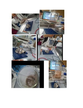 Identificación de iones en el suelo