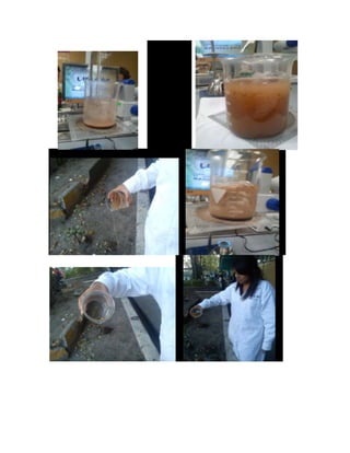 Identificación de iones en el suelo