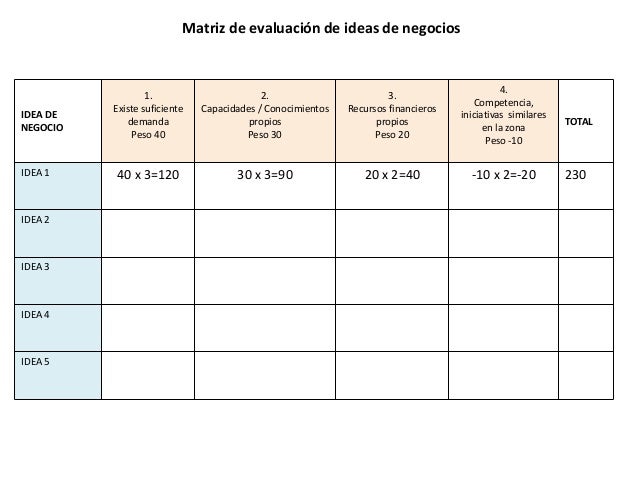 IDENTIFICACION DE LA IDEA DE NEGOCIO