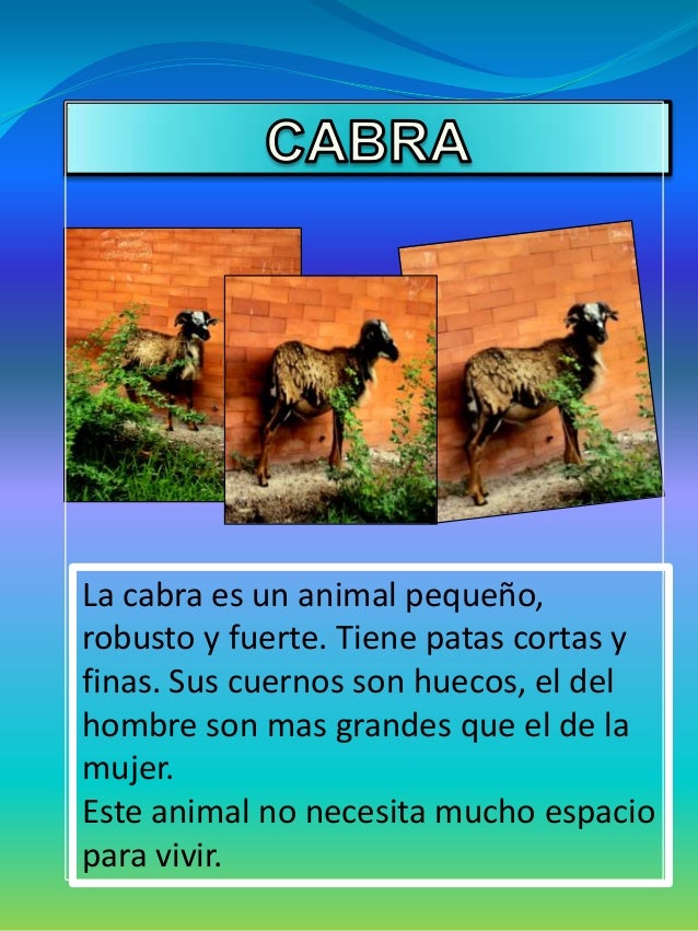 Identificación de las adaptaciones de las especies del