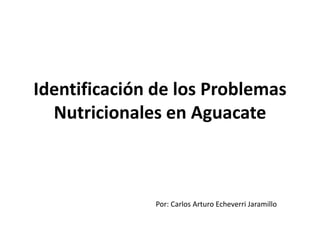 Identificación de los Problemas 
Nutricionales en Aguacate 
Por: Carlos Arturo Echeverri Jaramillo 
 