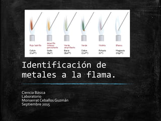 Identificación de
metales a la flama.
Ciencia Básica
Laboratorio
Monserrat Ceballos Guzmán
Septiembre 2015
 