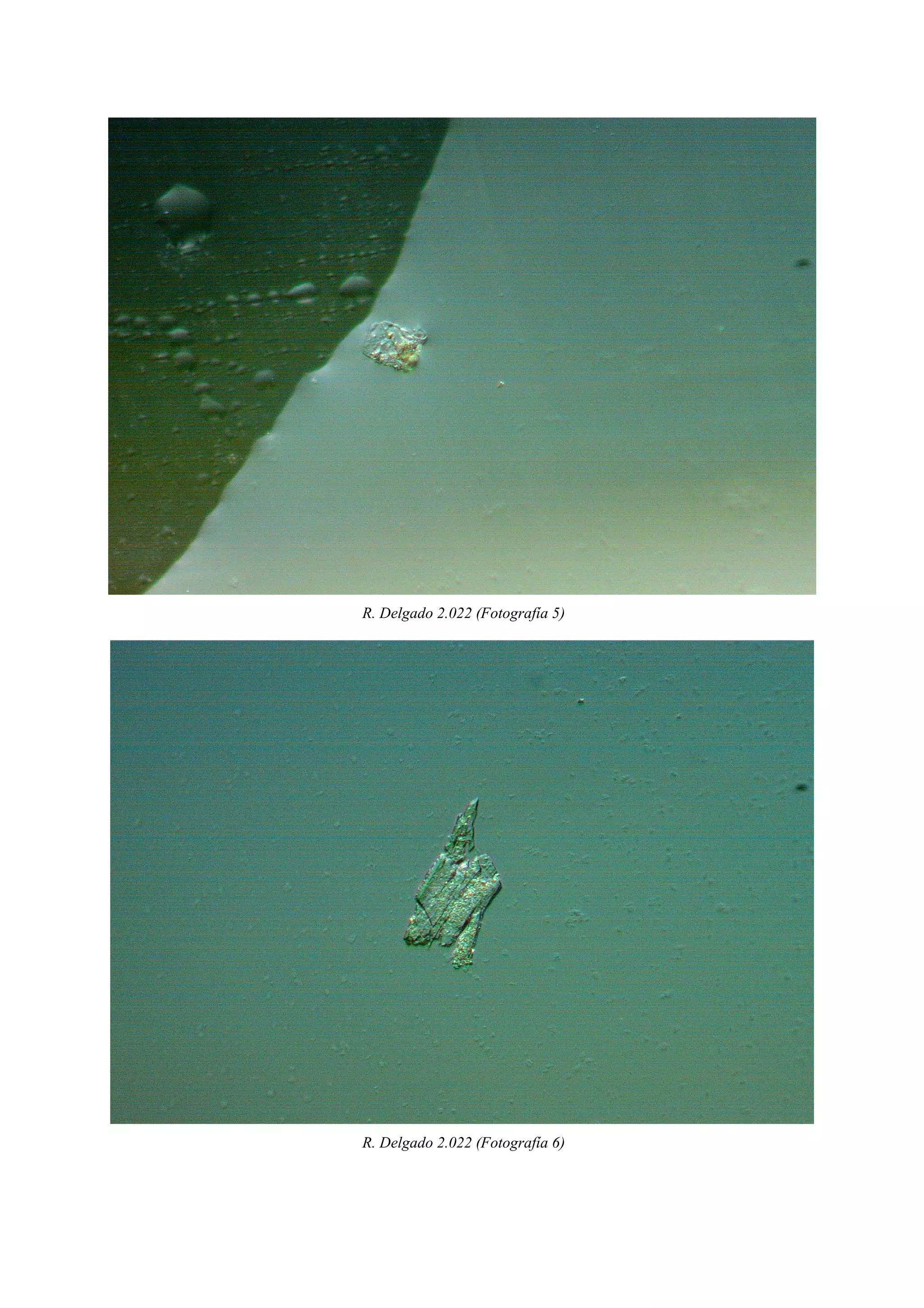 R. Delgado 2.022 (Fotografía 5)
R. Delgado 2.022 (Fotografía 6)
 