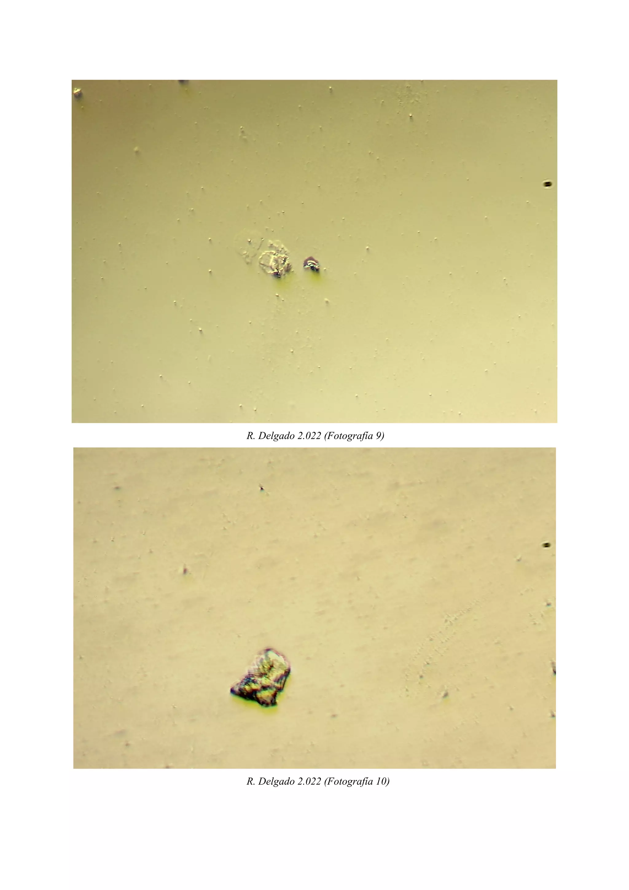 R. Delgado 2.022 (Fotografía 9)
R. Delgado 2.022 (Fotografía 10)
 