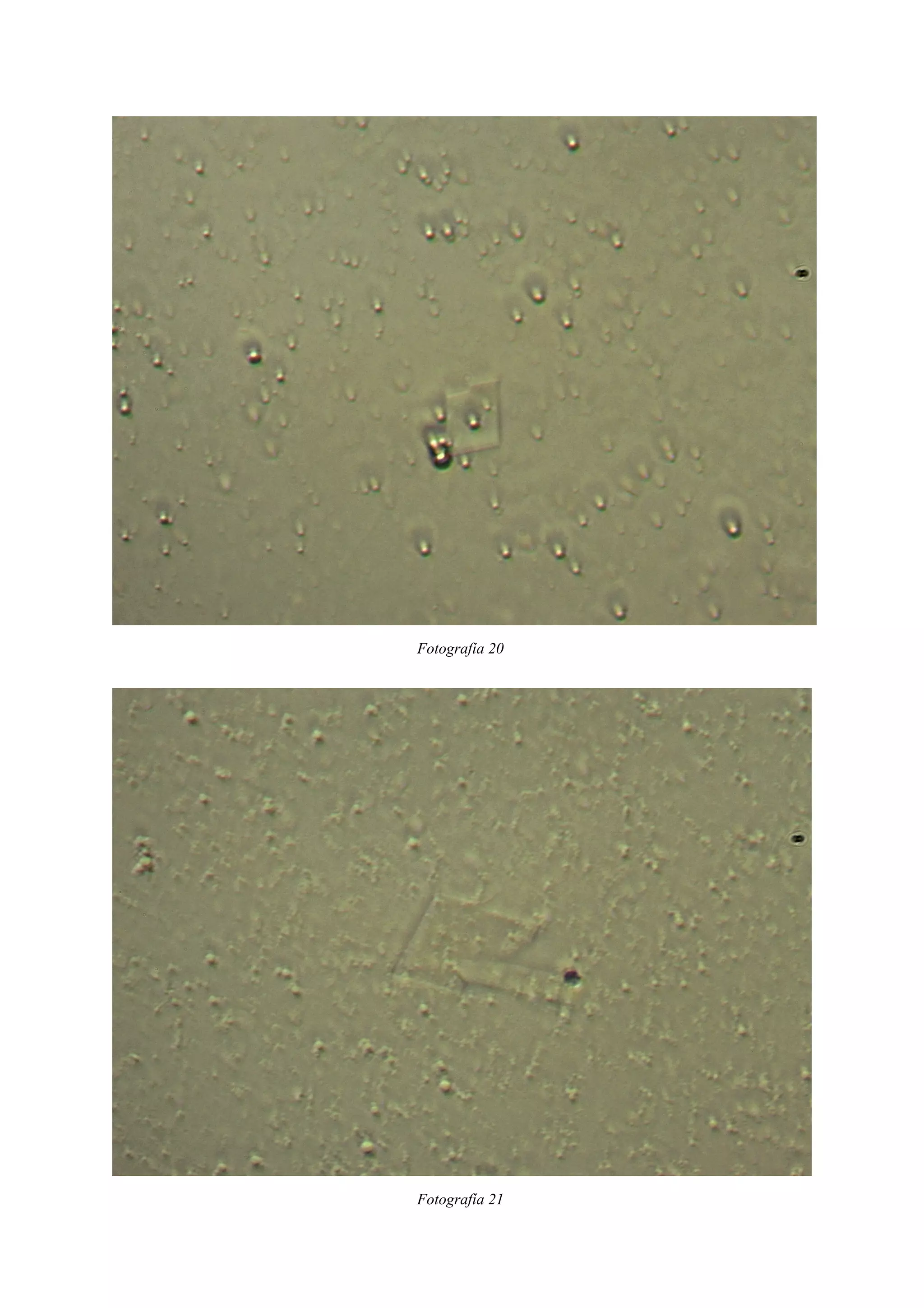 Fotografía 20
Fotografía 21
 