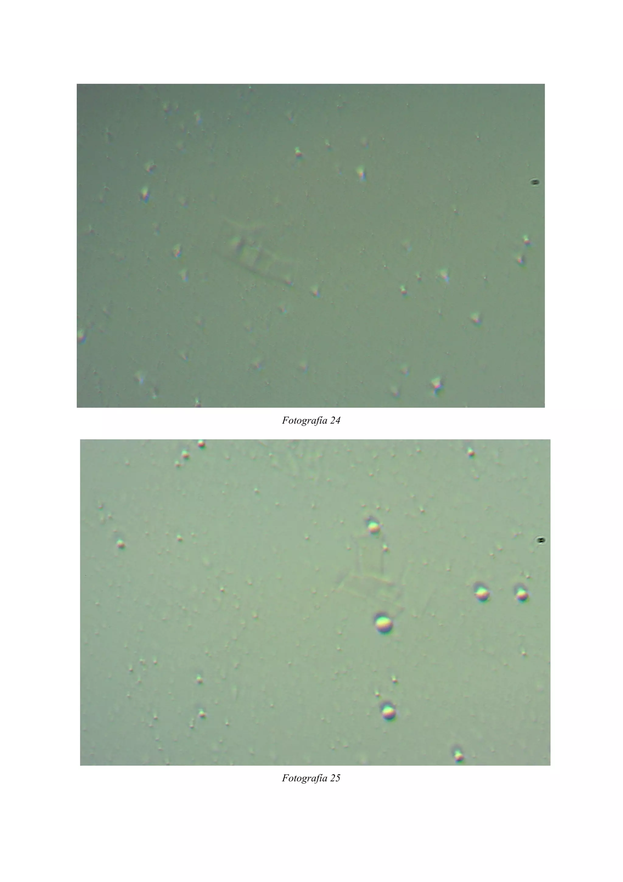 Fotografía 24
Fotografía 25
 