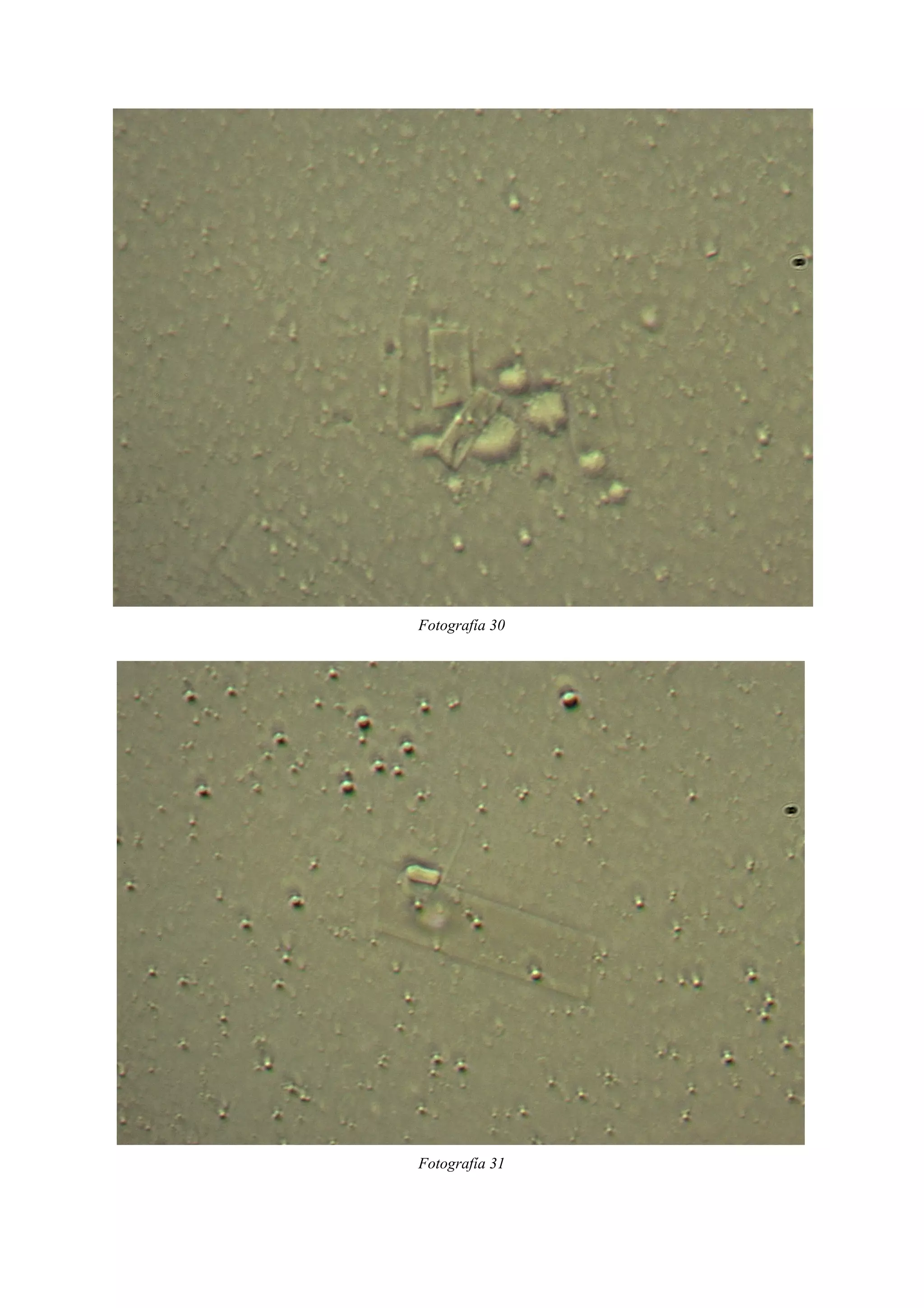 Fotografía 30
Fotografía 31
 