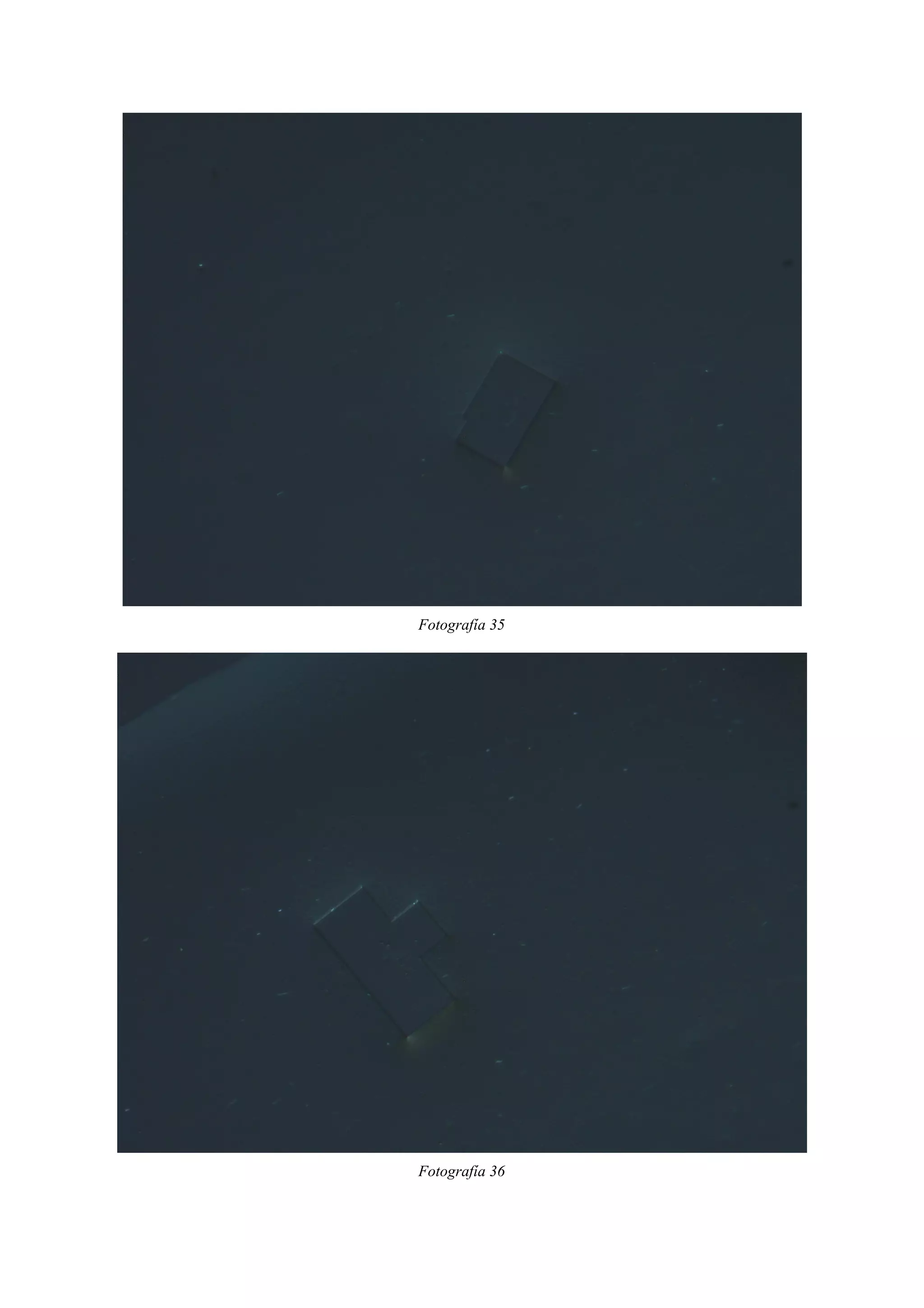 Fotografía 35
Fotografía 36
 