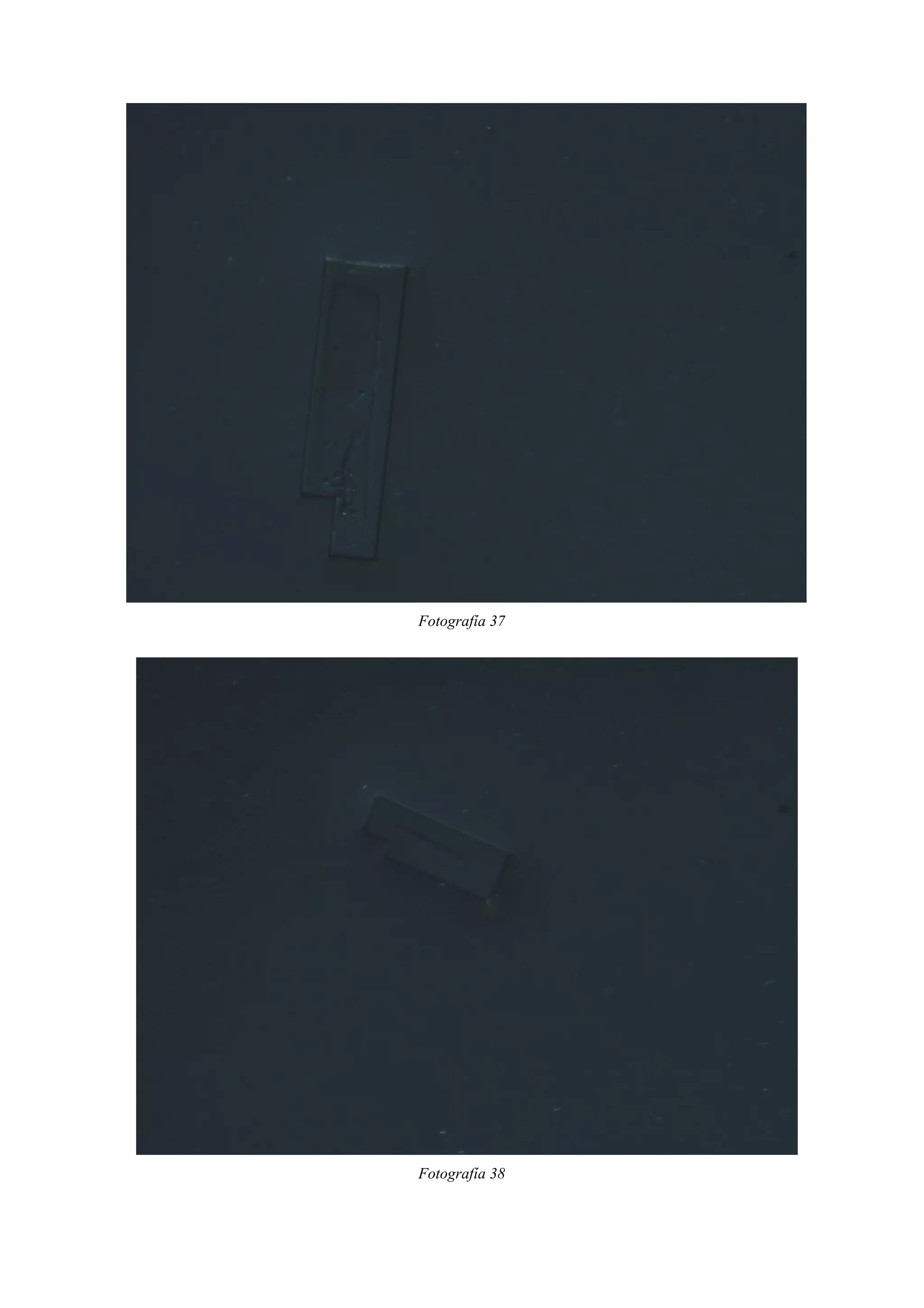 Fotografía 37
Fotografía 38
 