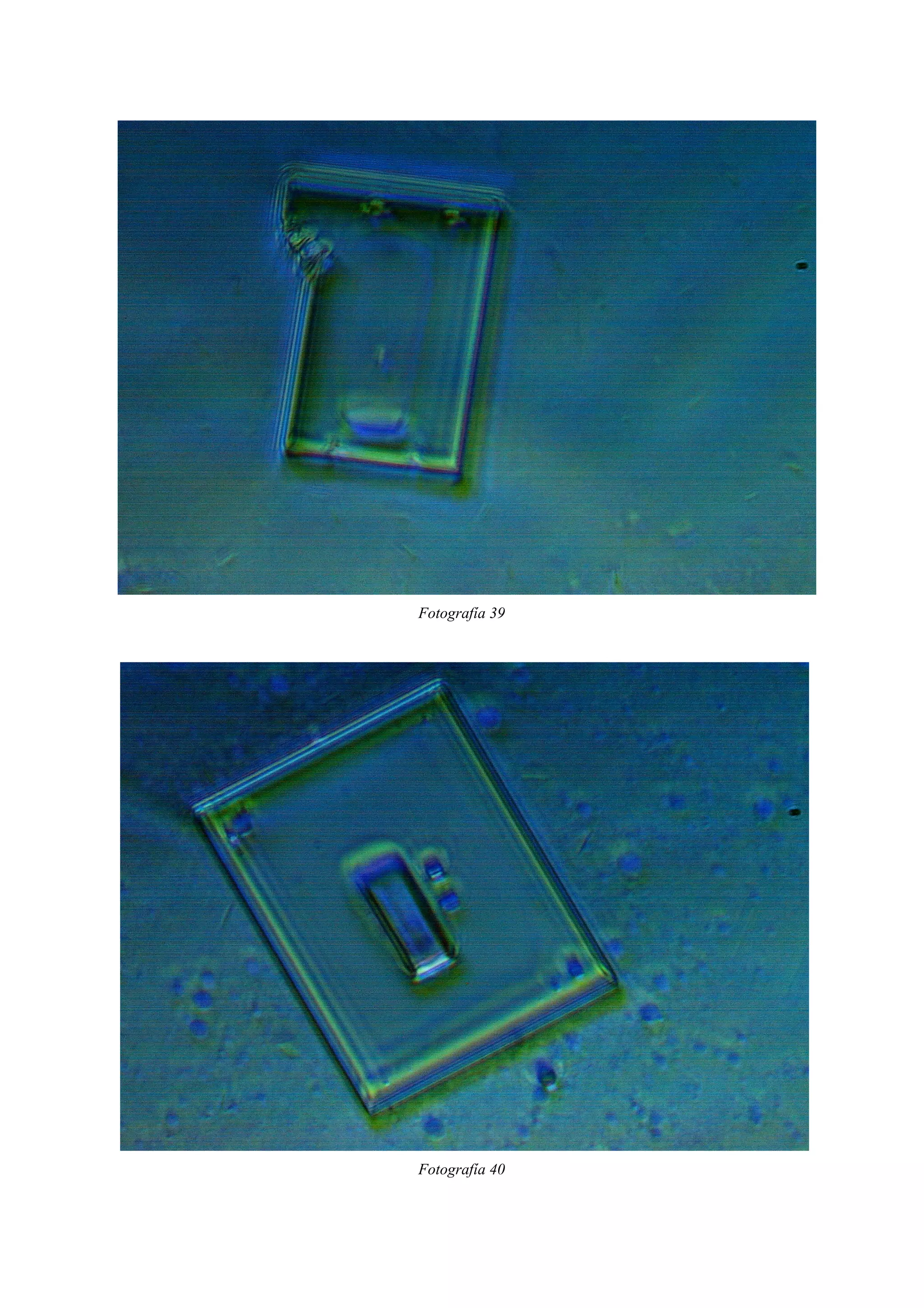 Fotografía 39
Fotografía 40
 