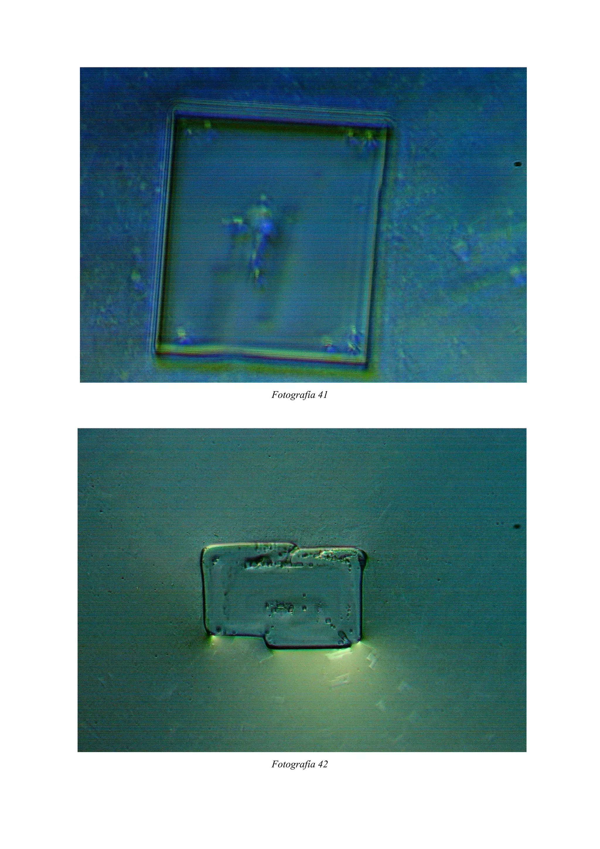 Fotografía 41
Fotografía 42
 