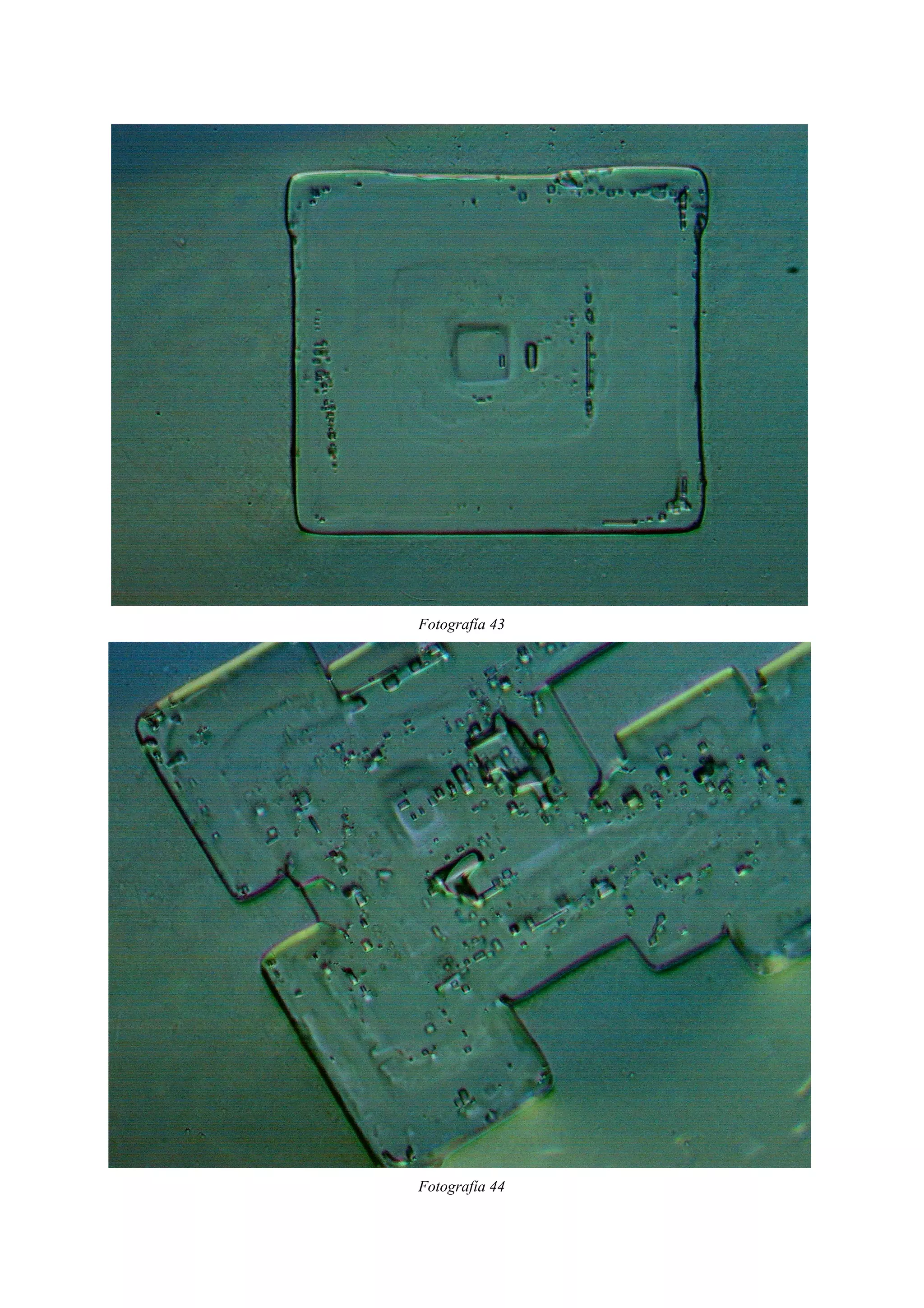 Fotografía 43
Fotografía 44
 