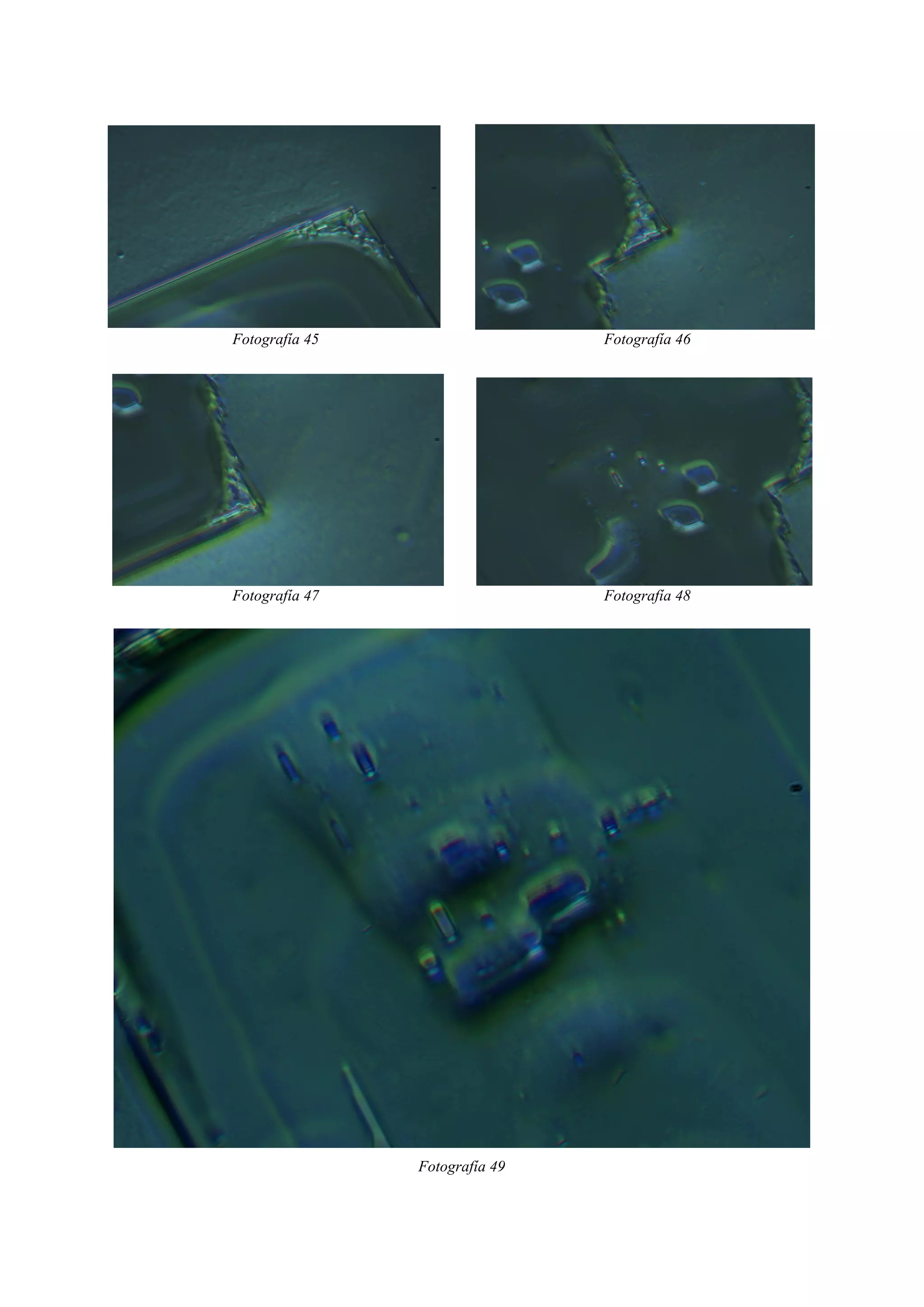 Fotografía 45 Fotografía 46
Fotografía 47 Fotografía 48
Fotografía 49
 