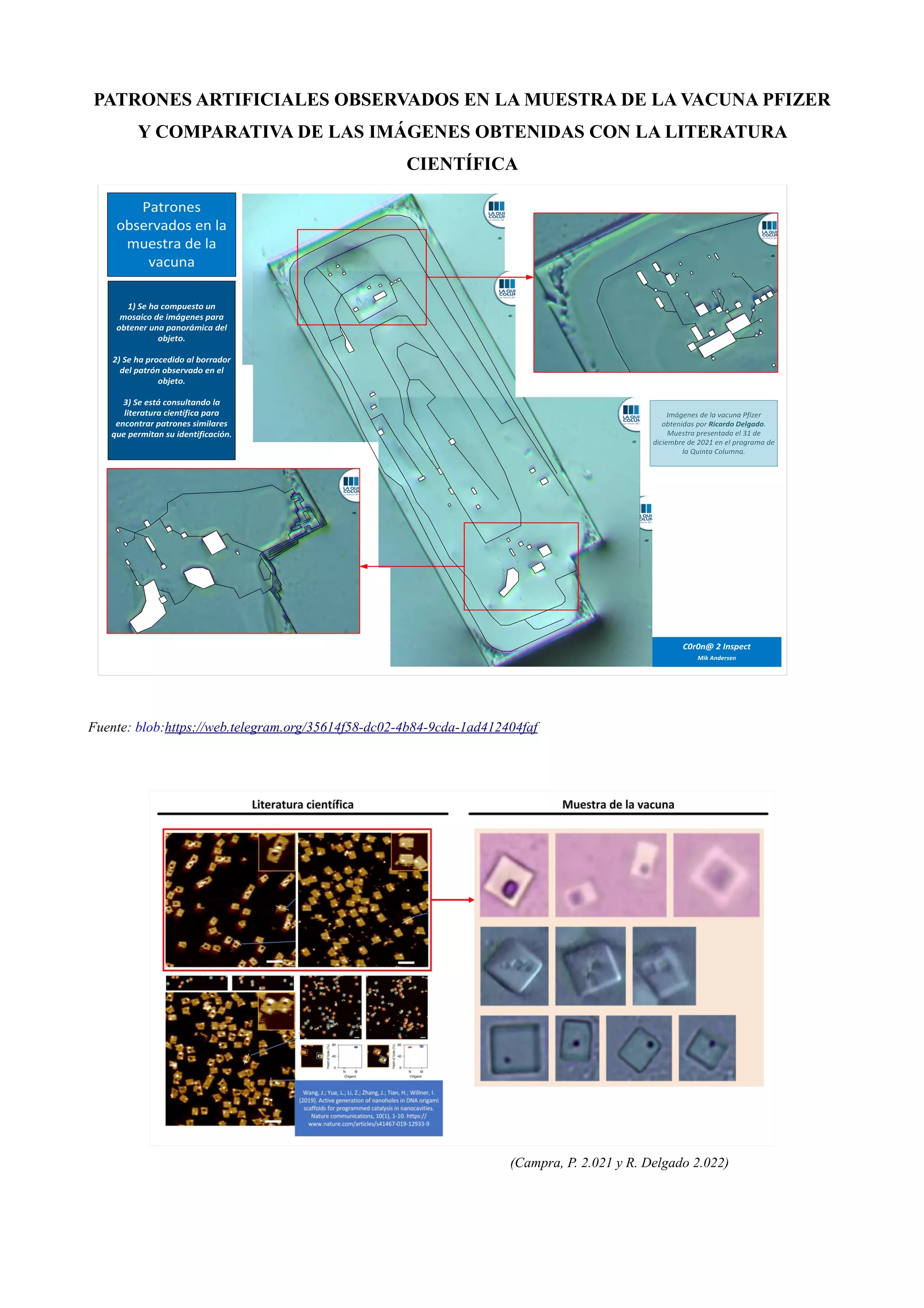 PATRONES ARTIFICIALES OBSERVADOS EN LA MUESTRA DE LA VACUNA PFIZER
Y COMPARATIVA DE LAS IMÁGENES OBTENIDAS CON LA LITERATURA
CIENTÍFICA
Fuente: blob:https://web.telegram.org/35614f58-dc02-4b84-9cda-1ad412404faf
(Campra, P. 2.021 y R. Delgado 2.022)
 