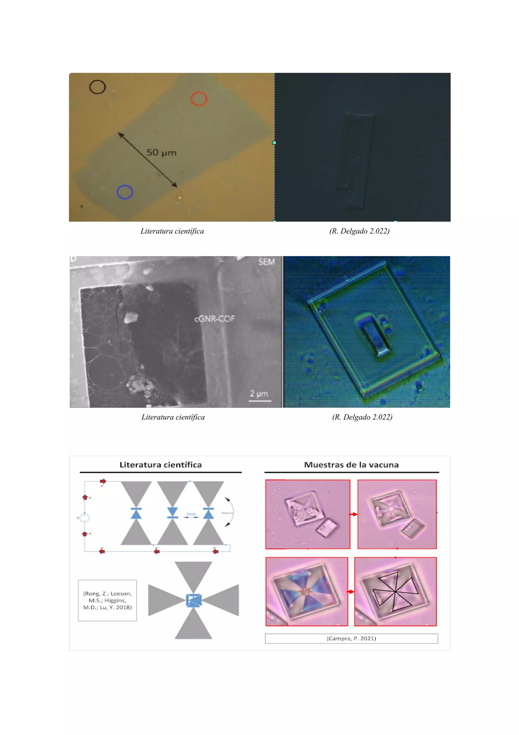 Literatura científica (R. Delgado 2.022)
Literatura científica (R. Delgado 2.022)
 