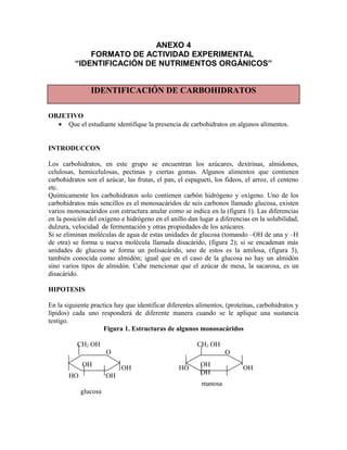 ANEXO 4
FORMATO DE ACTIVIDAD EXPERIMENTAL
“IDENTIFICACIÓN DE NUTRIMENTOS ORGÁNICOS”
IDENTIFICACIÓN DE CARBOHIDRATOS
OBJETIVO
• Que el estudiante identifique la presencia de carbohidratos en algunos alimentos.
INTRODUCCON
Los carbohidratos, en este grupo se encuentran los azúcares, dextrinas, almidones,
celulosas, hemicelulosas, pectinas y ciertas gomas. Algunos alimentos que contienen
carbohidratos son el azúcar, las frutas, el pan, el espagueti, los fideos, el arroz, el centeno
etc.
Químicamente los carbohidratos solo contienen carbón hidrógeno y oxígeno. Uno de los
carbohidratos más sencillos es el monosacáridos de seis carbonos llamado glucosa, existen
varios monosacáridos con estructura anular como se indica en la (figura 1). Las diferencias
en la posición del oxígeno e hidrógeno en el anillo dan lugar a diferencias en la solubilidad,
dulzura, velocidad de fermentación y otras propiedades de los azúcares.
Si se eliminan moléculas de agua de estas unidades de glucosa (tomando –OH de una y –H
de otra) se forma u nueva molécula llamada disacárido, (figura 2); si se encadenan más
unidades de glucosa se forma un polisacárido, uno de estos es la amilosa, (figura 3),
también conocida como almidón; igual que en el caso de la glucosa no hay un almidón
sino varios tipos de almidón. Cabe mencionar que el azúcar de mesa, la sacarosa, es un
disacárido.
HIPOTESIS
En la siguiente practica hay que identificar diferentes alimentos, (proteínas, carbohidratos y
lípidos) cada uno responderá de diferente manera cuando se le aplique una sustancia
testigo.
Figura 1. Estructuras de algunos monosacáridos
CH2 OH CH2 OH
O O
OH
OH HO OH
HO OH
manosa
glucosa
OH OH
OH
 