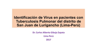 Identificación de Virus en pacientes con
Tuberculosis Pulmonar del distrito de
San Juan de Lurigancho (Lima-Perú)
Dr. Carlos Alberto Gibaja Zapata
Lima Perú
2017
 