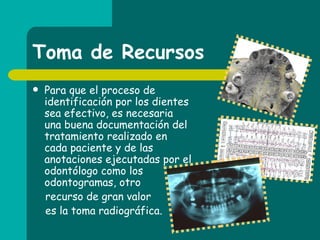 Toma de Recursos Para que el proceso de identificación por los dientes sea efectivo, es necesaria una buena documentación del tratamiento realizado en cada paciente y de las anotaciones ejecutadas por el odontólogo como los odontogramas, otro recurso de gran valor  es la toma radiográfica.  