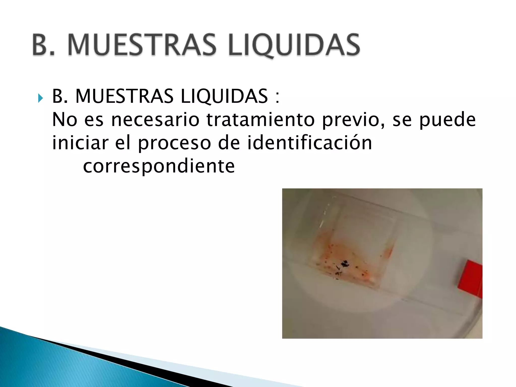    B. MUESTRAS LIQUIDAS :
    No es necesario tratamiento previo, se puede
    iniciar el proceso de identificación
        correspondiente
 