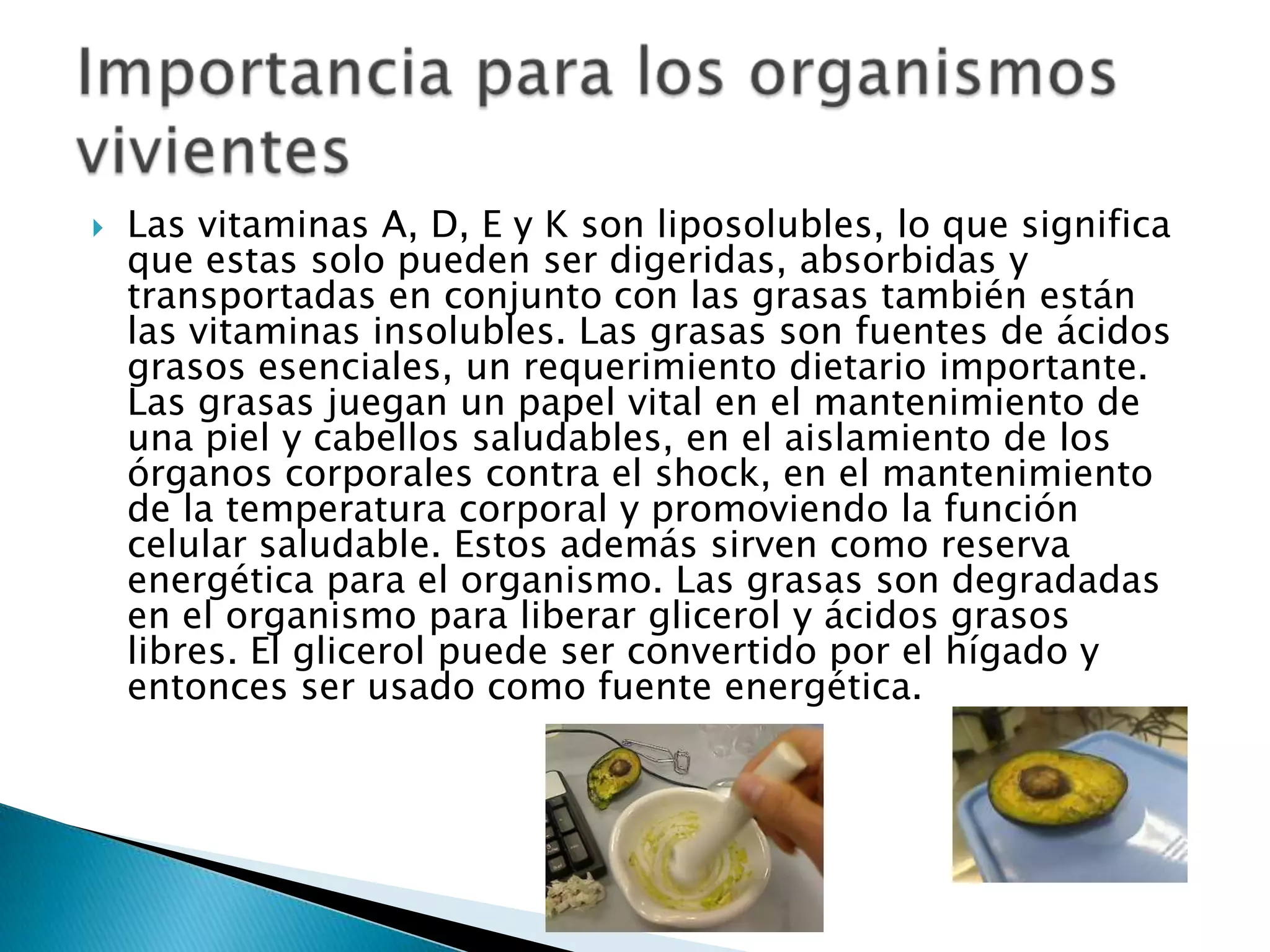    Las vitaminas A, D, E y K son liposolubles, lo que significa
    que estas solo pueden ser digeridas, absorbidas y
    transportadas en conjunto con las grasas también están
    las vitaminas insolubles. Las grasas son fuentes de ácidos
    grasos esenciales, un requerimiento dietario importante.
    Las grasas juegan un papel vital en el mantenimiento de
    una piel y cabellos saludables, en el aislamiento de los
    órganos corporales contra el shock, en el mantenimiento
    de la temperatura corporal y promoviendo la función
    celular saludable. Estos además sirven como reserva
    energética para el organismo. Las grasas son degradadas
    en el organismo para liberar glicerol y ácidos grasos
    libres. El glicerol puede ser convertido por el hígado y
    entonces ser usado como fuente energética.
 