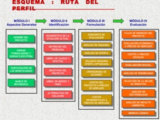 ESQUEMA
PERFIL
MÓDULO I
Aspectos Generales

NOMBRE DEL
NOMBRE DEL
PROYECTO
PROYECTO
UNIDAD
UNIDAD
FORMULADORA Y
FORMULADORA Y
UNIDAD EJECUTORA
UNIDAD EJECUTORA

PARTICIPACIÓN DE
PARTICIPACIÓN DE
LOS BENEFICIARIOS
LOS BENEFICIARIOS

MARCO DE
MARCO DE
REFERENCIA
REFERENCIA

:

RUTA

MÓDULO II
Identificación

DIAGNÓSTICO DE LA
DIAGNÓSTICO DE LA
SITUACIÓN ACTUAL
SITUACIÓN ACTUAL
DEFINICIÓN DEL
DEFINICIÓN DEL
PROBLEMA
PROBLEMA
ARBOL DE CAUSAS Y
ARBOL DE CAUSAS Y
EFECTOS
EFECTOS
OBJETIVOS DEL
OBJETIVOS DEL
PROYECTO
PROYECTO
ARBOL DE MEDIOS Y
ARBOL DE MEDIOS Y
FINES
FINES
ALTERNATIVAS DE
ALTERNATIVAS DE
SOLUCIÓN
SOLUCIÓN

DEL

MÓDULO III
Formulación
HORIZONTE DE
HORIZONTE DE
EVALUACIÓN
EVALUACIÓN
ANÁLISIS DE DEMANDA
ANÁLISIS DE DEMANDA
ANÁLISIS DE OFERTA
ANÁLISIS DE OFERTA
BALANCE DEMANDA
BALANCE DEMANDA
OFERTA OPTIMIZADA
OFERTA OPTIMIZADA
CRONOGRAMA DE
CRONOGRAMA DE
ACCIONES
ACCIONES
COSTOS DEL
COSTOS DEL
PROYECTO A PRECIOS
PROYECTO A PRECIOS
DE MERCADO
DE MERCADO
COSTOS
COSTOS
INCREMENTALES A
INCREMENTALES A
PRECIOS DE MERCADO
PRECIOS DE MERCADO

MÓDULO IV
Evaluación
FLUJO DE INGRESOS DEL
FLUJO DE INGRESOS DEL
PROYECTO
PROYECTO
EVALUACIÓN ECONÓMICA
EVALUACIÓN ECONÓMICA
A PRECIOS DE MERCADO
A PRECIOS DE MERCADO
COSTOS A PRECIOS
COSTOS A PRECIOS
SOCIALES
SOCIALES
EVALUACIÓN SOCIAL
EVALUACIÓN SOCIAL
ANÁLISIS DE SENSIBILIDAD
ANÁLISIS DE SENSIBILIDAD
SELECCIÓN DE LA MEJOR
SELECCIÓN DE LA MEJOR
ALTERNATIVA
ALTERNATIVA
ANÁLISIS DE
ANÁLISIS DE
SOSTENIBILIDAD
SOSTENIBILIDAD
ANÁLISIS DE IMPACTO
ANÁLISIS DE IMPACTO
AMBIENTAL
AMBIENTAL
MARCO LÓGICO
MARCO LÓGICO

 