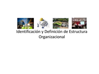 Identificación y Definición de Estructura
Organizacional
 