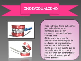 Cada individuo tiene suficientes particularidades en su dentadura para poder establecer su identidad con certeza total.  Obviamente para que la identificación odontológica se produzca, es imprescindible contar con la información dental previa del sujeto que se trata de identificar, con la cual deberán ser confrontados los datos obtenidos por el perito forense. INDIVIDUALIDAD 