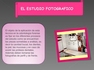 El objeto de la aplicación de esta técnica en la odontología forense es fijar en los diferentes procesos del estudio como se encuentran las piezas sometidas a análisis, es decir la cavidad bucal, los dientes, la piel, las mucosas y en caso de existir las prótesis dentales.  Además deben tomarse las fotografías de perfil y de frente.  EL ESTUDIO FOTOGRAFICO 
