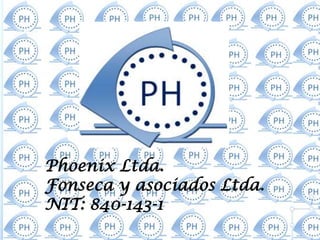 Phoenix Ltda.
Fonseca y asociados Ltda.
NIT: 840-143-1
 
