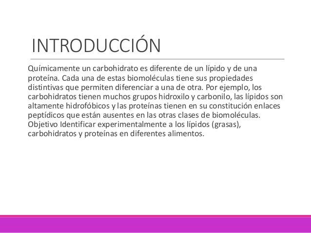 Conclusion De Los Carbohidratos Lipidos Y Proteinas