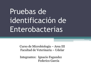Pruebas de
identificación de
Enterobacterias
Curso de Microbiología – Area III
Facultad de Veterinaria – Udelar
Integrantes: Ignacio Fagundez
Federico García
 