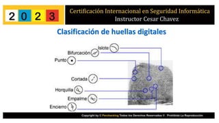 Clasificación de huellas digitales
 