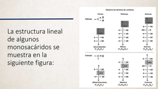 La estructura lineal
de algunos
monosacáridos se
muestra en la
siguiente figura:
 