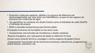 • Presentan moléculas apolares, debido a la ausencia de diferencia de
electronegatividad, por esta razón son hidrofóbicos, ya que no son capaces de
asociarse con moléculas de agua.
• Se saponifican en contacto con álcalis fuertes como el hidróxido de sodio (NaOH)
e hidróxido de potasio
• (KOH) a elevadas temperaturas para formar jabón.
Principales funciones de los lípidos en los seres vivos:
• Componentes estructurales de membranas y tejidos celulares.
Reserva energética, por cada gramo de lípido se obtienen 9.3 kcal.
Actúan como aislante térmico y protegen a ciertos órganos de golpes físicos.
Componentes funcionales de las hormonas (cortisona, aldosterona, progesterona),
ácidos biliares, colesterol, etc.
 