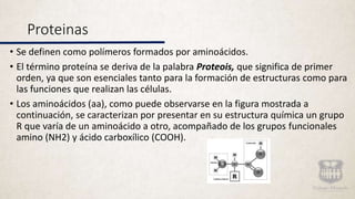 Proteinas
• Se definen como polímeros formados por aminoácidos.
• El término proteína se deriva de la palabra Proteois, que significa de primer
orden, ya que son esenciales tanto para la formación de estructuras como para
las funciones que realizan las células.
• Los aminoácidos (aa), como puede observarse en la figura mostrada a
continuación, se caracterizan por presentar en su estructura química un grupo
R que varía de un aminoácido a otro, acompañado de los grupos funcionales
amino (NH2) y ácido carboxílico (COOH).
 