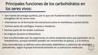 Principales funciones de los carbohidratos en
los seres vivos:
• Son fuente de energía química, por lo que son fundamentales en el metabolismo
energético de los seres vivos.
• Intervienen en la formación de estructuras como la membrana y pared celular.
• Forman parte de cartílagos, huesos y tendones.
• Forman parte de los ácidos nucleicos.
• Se originan durante la fotosíntesis
• Son transformados por los organismos en otros productos para que participen en su
metabolismo, aunque también pueden ser convertidos en grasas, y a la inversa.
Estas biomoléculas se definen como derivados aldehídicos o cetónicos de alcoholes
polivalentes, según el grupo funcional presente en su estructura molecular.
 