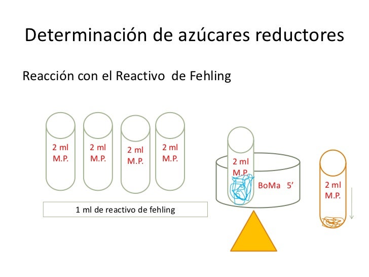 Identificación De Azucares Reductores Con Reactivo De Fehling