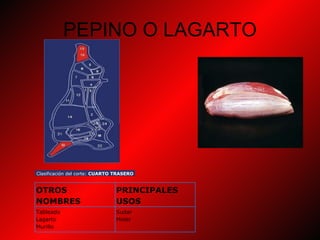 PEPINO O LAGARTO Clasificación del corte:  CUARTO TRASERO OTROS NOMBRES  PRINCIPALES USOS  Tableado Lagarto Murillo Sudar Moler 