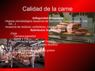 Calidad de la carne A)Seguridad Alimentaria   -Higiene microbiológica (ausencia de Salmonella, Campylobacter. Coli, ect…)  -Ausencia de residuos: antibióticos, metales, pesticidas  B)Atributos Organolépticos  -Color  -Terneza-jugosidad  -Sabor y olor  -Cantidad de grasa visible. Veteado.  C)Valor Nutritivo  -Cantidad de grasa  -Composición en ácidos grasos  -Valor proteico  -Enriquecimientos  