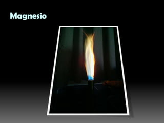 Magnesio
 