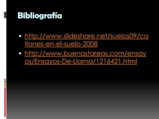 Bibliografía

 http://www.slideshare.net/suelos09/ca
  tiones-en-el-suelo-2008
 http://www.buenastareas.com/ensay
  os/Ensayos-De-Llama/1216421.html
 