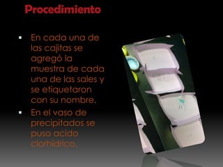 Procedimiento

    En cada una de
     las cajitas se
     agregó la
     muestra de cada
     una de las sales y
     se etiquetaron
     con su nombre.
    En el vaso de
     precipitados se
     puso acido
     clorhídrico.
 