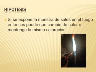 HIPOTESIS
 Si se expone la muestra de sales en el fuego
entonces puede que cambie de color o
mantenga la misma coloracion.
 