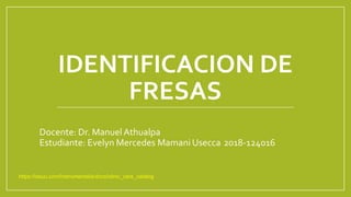 IDENTIFICACION DE
FRESAS
Docente: Dr. Manuel Athualpa
Estudiante: Evelyn Mercedes Mamani Usecca 2018-124016
https://issuu.com/instrumentalia/docs/clinic_care_catalog
 