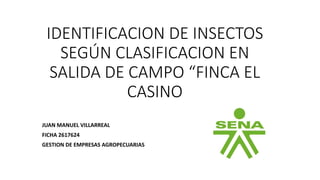 IDENTIFICACION DE INSECTOS
SEGÚN CLASIFICACION EN
SALIDA DE CAMPO “FINCA EL
CASINO
JUAN MANUEL VILLARREAL
FICHA 2617624
GESTION DE EMPRESAS AGROPECUARIAS
 