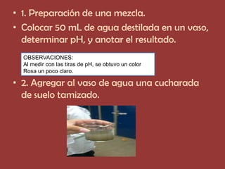 • 1. Preparación de una mezcla.
• Colocar 50 mL de agua destilada en un vaso,
  determinar pH, y anotar el resultado.
  OBSERVACIONES:
  Al medir con las tiras de pH, se obtuvo un color
  Rosa un poco claro.

• 2. Agregar al vaso de agua una cucharada
  de suelo tamizado.
 