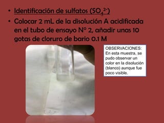 • Identificación de sulfatos (SO42-)
• Colocar 2 mL de la disolución A acidificada
  en el tubo de ensayo N° 2, añadir unas 10
  gotas de cloruro de bario 0.1 M
                                OBSERVACIONES:
                                En esta muestra, se
                                pudo observar un
                                color en la disolución
                                (blanco) aunque fue
                                poco visible.
 