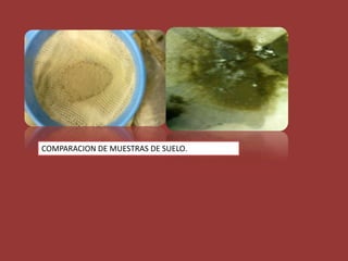 COMPARACION DE MUESTRAS DE SUELO.
 